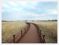 10월25일(일)설악산 오색주전골 단풍트레킹+남대천생태공원 억색... 산오름 카페 10월25일(일)설악산 오색주전골 단풍트레킹+남대천생태공원 억색