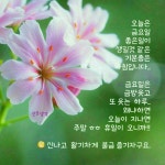 멋진 편지// 이미지 - ‥‥공유 ♡ 좋은글 - 향기있는 좋은글 멋진 편지// 이미지