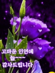 인연따라 마음을 일으키고 - ‥‥공유 ♡ 좋은글 - 향기있는 좋은글 인연따라 마음을 일으키고