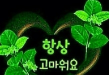 행복이 내 안에 있었다 - ‥‥공유 ♡ 좋은글 - 향기있는 좋은글 행복이 내 안에 있었다