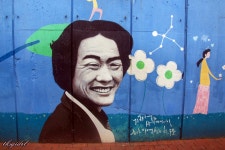(대구 대봉동 능소화 폭포) 숨은 명소 / (대봉동 고인 김광석 거리 풍경)... (대구 대봉동 능소화 폭포) 숨은 명소 / (대봉동 고인 김광석 거리 풍경)