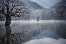 경북 청송 주산지 고요한 겨울 물안개 아침 풍경 과 영상 - ‥‥자유 ♡ 게시판 - 향기있는 좋은글 향기있는 좋은글