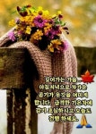 사랑의 감정은 건강에 좋다 - ‥‥공유 ♡ 좋은글 - 향기있는 좋은글 사랑의 감정은 건강에 좋다