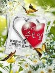 해피 수요일 아침 3월의 마지막 한 주/ 당신 멋져 - 🔶️공유 글🔰나눔 - 💜산야와 한울타리💜 해피 수요일 아침 3월의 마지막 한 주/ 당신 멋져
