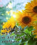 아침햇살 같은 사람 - ‥‥공유 ♡ 좋은글 - 향기있는 좋은글 아침햇살 같은 사람