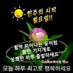 월요일 아침, 똑 똑똑! 사랑의 향기 배달 왔어요 - 🔶️공유 글🔰나눔 - 💜산야와 한울타리💜 월요일 아침, 똑 똑똑! 
