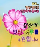 멋진 당신의 인생 - ‥‥공유 ♡ 좋은글 - 향기있는 좋은글 멋진 당신의 인생