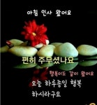 화요일 아침편지/ 향기나는 5월 - 🔶️공유 글🔰나눔 - 💜산야와 한울타리💜 화요일 아침편지/ 향기나는 5월