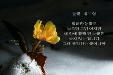 커피시인 윤보영의 시화로 읽는 시 - ‥‥윤보영 ♡ 시인방 - 향기있는 좋은글 커피시인 윤보영의 시화로 읽는 시