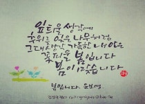 커피시인 윤보영의 시화로 읽는 시 - ‥‥윤보영 ♡ 시인방 - 향기있는 좋은글 커피시인 윤보영의 시화로 읽는 시