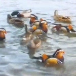 희망의 씨를 뿌리는 거야 - ‥‥공유 ♡ 좋은글 - 향기있는 좋은글 희망의 씨를 뿌리는 거야