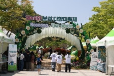 보성 한국차문화공원 다향대축제 - ‥‥등산 ♡ 풍경 사진 - 향기있는 좋은글 향기있는 좋은글