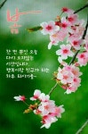 좋은말씀 / 예쁜카톡이미지 - ‥‥ⓔ미지 ♡ 자료실 - 향기있는 좋은글 향기있는 좋은글