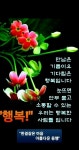 수요일 아침 편지 느낌이좋은 행복한 하루되세요 - ‥‥공유 ♡ 좋은글 - 향기있는 좋은글 수요일 아침 편지 느낌이좋은 행복한 하루되세요