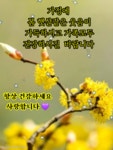 건강이 최고 웃음은 만병통치약 - ‥‥공유 ♡ 좋은글 - 향기있는 좋은글 건강이 최고 웃음은 만병통치약