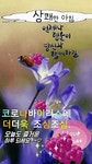행복한 아침 - ‥‥영상 ♡ 좋은글 - 향기있는 좋은글 행복한 아침