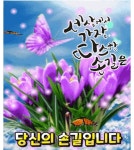 세상에서 가장...../ 이미지 - ‥‥공유 ♡ 좋은글 - 향기있는 좋은글 세상에서 가장...../ 이미지