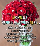 화요일 아침에! 내 마음을 선물할 수 있다면/ 정월 대보름 이미지(동영상) - 🔶️공유 글🔰나눔 - 💜산야와 한울타리💜 화요일 아침에! 