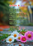 커피시인 윤보영의 시화로 읽는 시 - ‥‥윤보영 ♡ 시인방 - 향기있는 좋은글 커피시인 윤보영의 시화로 읽는 시