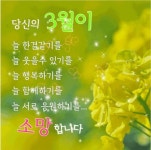 행복한 3월을 위해/ 이미지 - ‥‥공유 ♡ 좋은글 - 향기있는 좋은글 행복한 3월을 위해/ 이미지