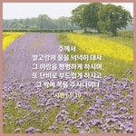 희망의 씨를 뿌리는 거야 - ‥‥공유 ♡ 좋은글 - 향기있는 좋은글 희망의 씨를 뿌리는 거야