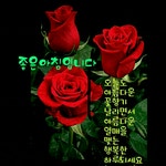 수요일 아침편지 2월의 꽃피는 봄날 - 🔶️공유 글🔰나눔 - 💜산야와 한울타리💜 수요일 아침편지 2월의 꽃피는 봄날