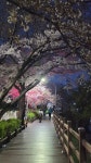 수원시 장안구 하광교동 - ‥‥사진 ♡ 작가방 - 향기있는 좋은글 수원시 장안구 하광교동