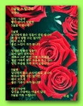오월의 첫날// 이미지 - ‥‥공유 ♡ 좋은글 - 향기있는 좋은글 오월의 첫날// 이미지