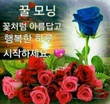 화요일 아침편지/ 향기나는 5월 - 🔶️공유 글🔰나눔 - 💜산야와 한울타리💜 화요일 아침편지/ 향기나는 5월