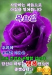 목요일 아침/ 3월을 마감하는 당신께 드리는 축복편지 - 🔶️공유 글... 한울타리💜 목요일 아침/ 3월을 마감하는 당신께 드리는 축복편지