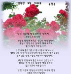 오월이 오면// 이미지 - ‥‥공유 ♡ 좋은글 - 향기있는 좋은글 오월이 오면// 이미지