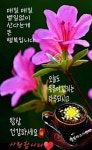 목요일 아침 편지 기적을 사는 삶 - ‥‥공유 ♡ 좋은글 - 향기있는 좋은글 목요일 아침 편지 기적을 사는 삶