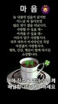 이것이  희망 입니다/ 이미지 - ‥‥공유 ♡ 좋은글 - 향기있는 좋은글 이것이 