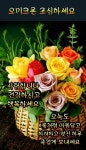 절망속에 피어난꽃 - ‥‥공유 ♡ 좋은글 - 향기있는 좋은글 절망속에 피어난꽃