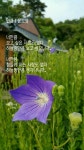 커피시인 윤보영의 시화로 읽는 시 - ‥‥윤보영 ♡ 시인방 - 향기있는 좋은글 커피시인 윤보영의 시화로 읽는 시