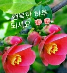 웃음꽃 활짝 피여나는 하루되세요 - ‥‥공유 ♡ 좋은글 - 향기있는 좋은글 웃음꽃 활짝 피여나는 하루되세요