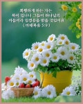 봄이 오는 길목에서 / 이해인 - ‥‥공유 ♡ 좋은글 - 향기있는 좋은글 봄이 오는 길목에서 / 이해인