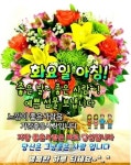 화요일 아침편지 / 당신께 보내는 축복의 확언 - 🔶️공유 글🔰나눔 - 💜산야와 한울타리💜 화요일 아침편지 / 당신께 보내는 축복의 확언