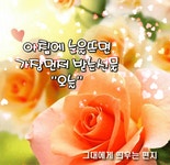 수요일 아침편지 2월의 꽃피는 봄날 - 🔶️공유 글🔰나눔 - 💜산야와 한울타리💜 수요일 아침편지 2월의 꽃피는 봄날