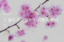 월요일 아침편지/봄이 오는 길목에서 - 🔶️공유 글🔰나눔 - 💜산야와 한울타리💜 월요일 아침편지/봄이 오는 길목에서