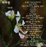 외사랑 - ‥‥공유 ♡ 좋은글 - 향기있는 좋은글 외사랑