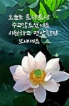 오래오래 행복하게 장수할수 있는 비결 - ‥‥공유 ♡ 좋은글 - 향기있는 좋은글 오래오래 행복하게 장수할수 있는 비결