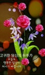 내 인생 스스로 찾아서 살자/ 이미지 - ‥‥공유 ♡ 좋은글 - 향기있는 좋은글 내 인생 스스로 찾아서 살자/ 이미지