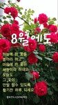 행복한 대인관계를 위한 10가지 조언 - ‥‥공유 ♡ 좋은글 - 향기있는 좋은글 행복한 대인관계를 위한 10가지 조언
