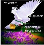 좋은 하루 좋은 시작!// 이미지 - ‥‥공유 ♡ 좋은글 - 향기있는 좋은글 좋은 하루 좋은 시작!// 이미지