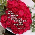 수요일 아침! 꽃샘추위가 질투를 하고 있네요 / 봄을 기다리는 마음... 한울타리💜 수요일 아침! 꽃샘추위가 질투를 하고 있네요 / 