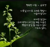 커피시인 윤보영의 시화로 읽는 시 - ‥‥윤보영 ♡ 시인방 - 향기있는 좋은글 커피시인 윤보영의 시화로 읽는 시