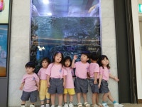 여름 여름 여름~~ 즐거운 여름 물놀이!!!^^ - ♥ 초록바다 앨범 - 국공립 참아름어린이집 여름 여름 여름~~ 즐거운 여름 물놀이!!!^^