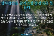 산수갑산과 삼수갑산 ~~ - └-… 알콩달콩 이야기 - 꽃을사랑하는사람들 (다육,화분) 산수갑산과 삼수갑산 ~~