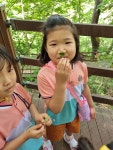 🌳 무수동 치유의 숲 🌳 - 2022 활동모습 - 행복이 가득한 이곳, 해밀어린이집 ! 🌳 무수동 치유의 숲 🌳